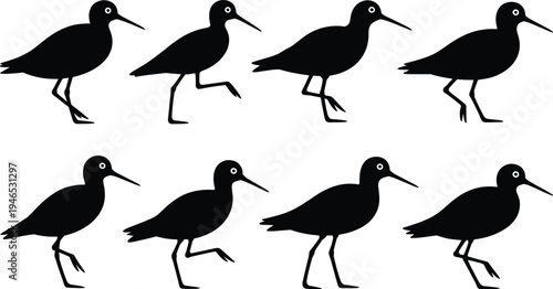 Shorebird walking silhouette set, wading bird movement poses collection, coastal bird vector icons isolated on white for wildlife, nature, and design projects