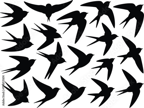 Swallow bird silhouette collection with flying poses, swift avian vector set isolated on white background for wildlife, freedom, and nature design