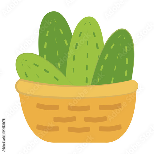 Vector graphic icon for Zucchini