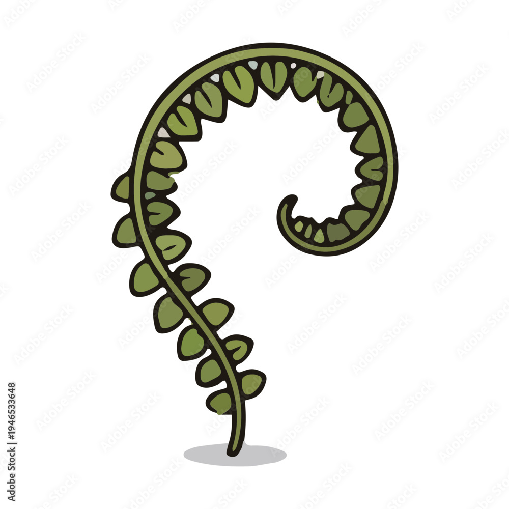 Obraz premium Fern Fiddlehead Illustration