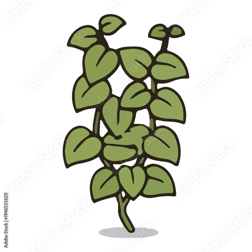 Simple Green Vine Illustration