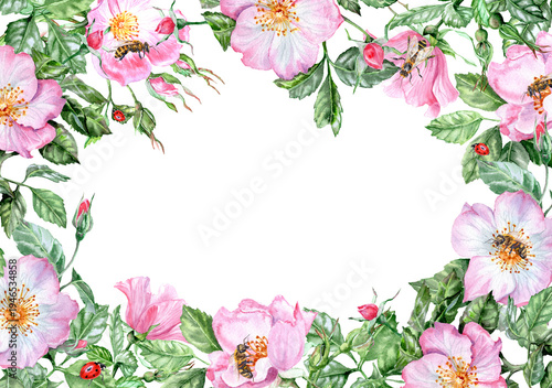 Horizontal rectangular frame with pink rosehip flowers and insects.