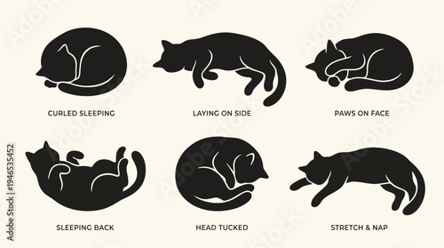 Exploring the delightful world of cat sleep a visual representation of common and unique feline resting postures and their cozy, relaxed forms