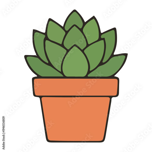 Cute Succulent Plant Illustration