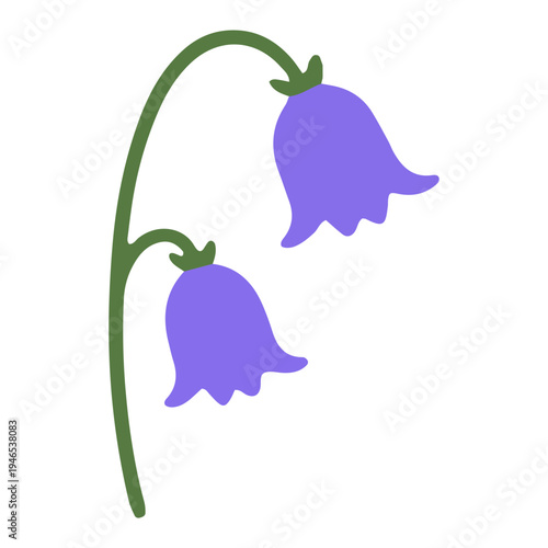 Bluebell Flower Illustration
