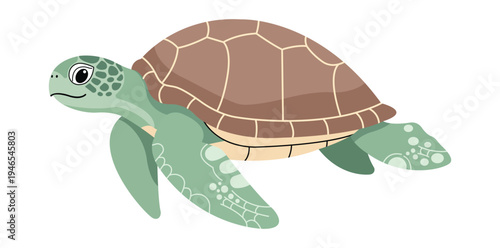 Sea Turtle: A vibrant illustration of a sea turtle gracefully gliding through the ocean, showcasing its colorful shell and serene expression, offering a glimpse into the underwater world.