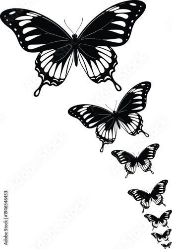 Black butterfly silhouette set, flying butterflies illustration, elegant insect wings design, nature tattoo style, isolated vector, transformation concept