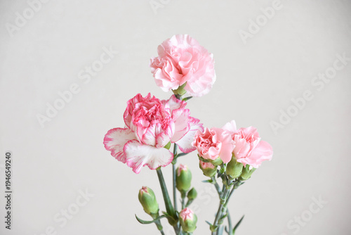 ピンクのカーネーション