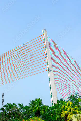 Cable stayed bridge pylon with red cables above tree canopy