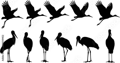 Stork bird silhouette vector set, flying and standing poses collection, black wildlife illustration icons isolated on white background