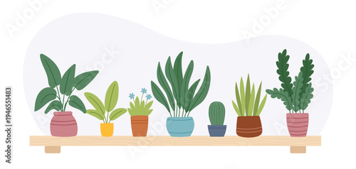 Vector flat clipart of shelf with different houseplants isolated on white background.