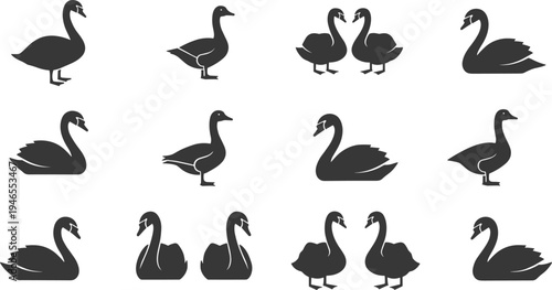 Swan silhouettes icon collection, black vector illustration set showing graceful water birds in standing and swimming poses, wildlife, nature, elegant design
