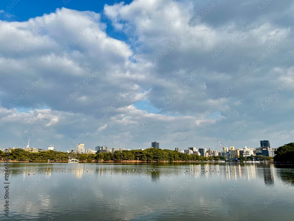 Fototapeta premium 朝の大濠公園