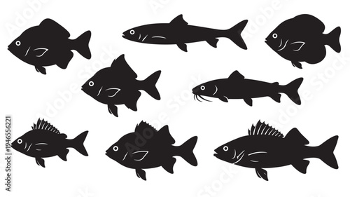 Diverse black fish silhouettes with distinct fins and body shapes displayed against a white background.