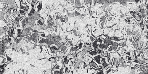 Complex monochrome textured background with intricate crystalline or cellular patterns and a grainy effect creating a detailed abstract surface for design