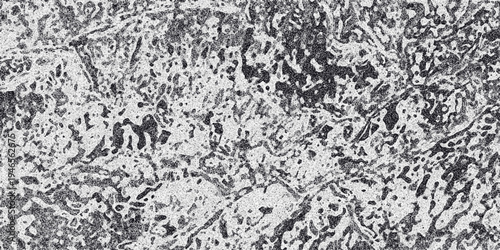 Detailed abstract monochrome texture with irregular organic shapes and granular noise, evoking a sense of natural patterns or distressed surfaces for creative backgrounds
