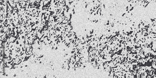 Organic Abstract Grayscale Texture with Irregular Dark Gray Pores and Speckled Grainy Noise Forming a Cellular or Biological Pattern for Scientific or Artistic Backgrounds Keywords: abstract