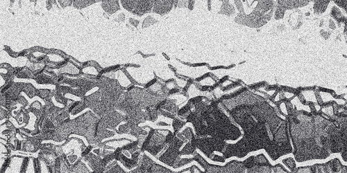 Organic abstract monochrome pattern with wavy, interwoven lines and granular texture, suggesting natural formations or abstract flowing elements for design backgrounds