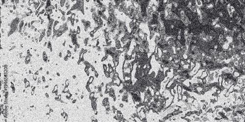 Organic monochrome textured background with irregular blob-like shapes and a speckled grainy effect creating a unique and abstract visual surface for design