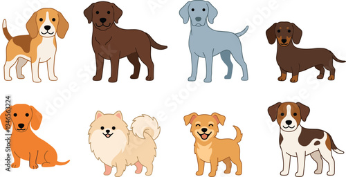 Cute dog breeds cartoon collection with beagle, dachshund, pomeranian, and mixed puppies, adorable pet characters illustration isolated set