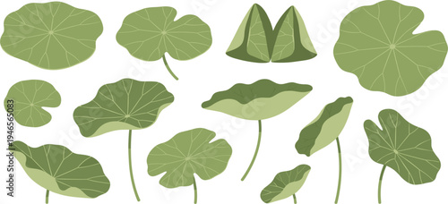 Green Lotus Leaf Collection with Botanical Water Lily Foliage Set for Nature Designs, Pond Illustrations, Tropical Decor, Garden Themes, and Organic Vector Projects