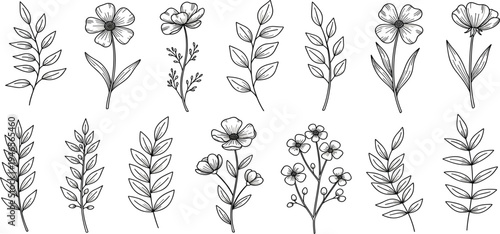 Hand Drawn Floral Elements Vector Set with Botanical Flowers and Leaves for Wedding Invitations, Logo Design, Packaging, Branding, and Elegant Decorative Projects
