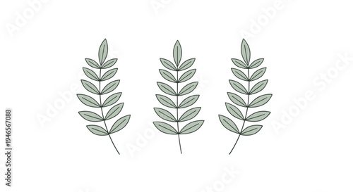 Three minimalist green leafy branches with delicate black outlines are arranged vertically on a clean white background.