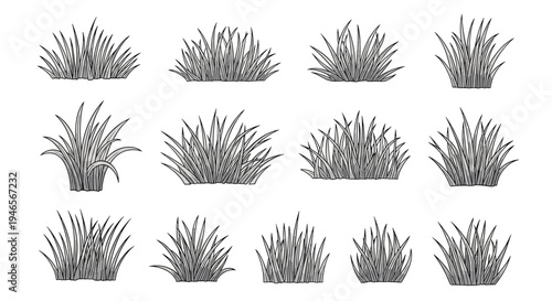 Set of twelve black and white grass tuft illustrations shows various styles from thin blades to thick bushes.