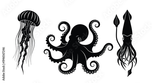 Silhouettes of three sea creatures including a jellyfish, octopus, and squid are shown in black on white background.