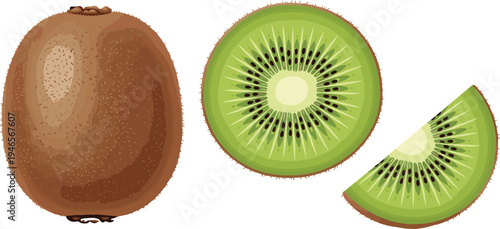 Kiwi Fruit Vector Illustration with Whole Kiwi, Kiwi Slice and Half Cut Fresh Green Tropical Fruit Healthy Food Design