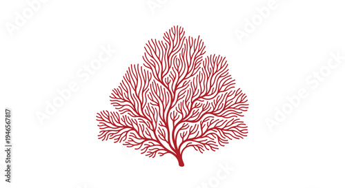 Detailed illustration of a red coral branch showing the complex and delicate structure of marine life found in tropical coral reefs.