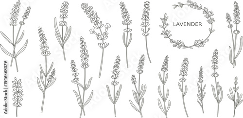 Lavender Botanical Line Art Illustration Set with Hand Drawn Floral Elements and Wreath for Aromatherapy, Herbal Products, Wedding Design, and Natural Branding
