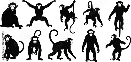 Monkey Silhouette Set with Various Primate Poses Isolated on White Background for Wildlife Design, Jungle Illustration, Logo Creation, and Graphic Projects