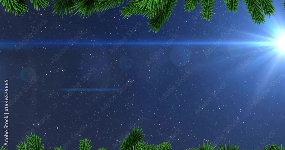 Obraz premium Capturing starlit night sky glowing over forest edge, with pine branches, starburst and lens flare