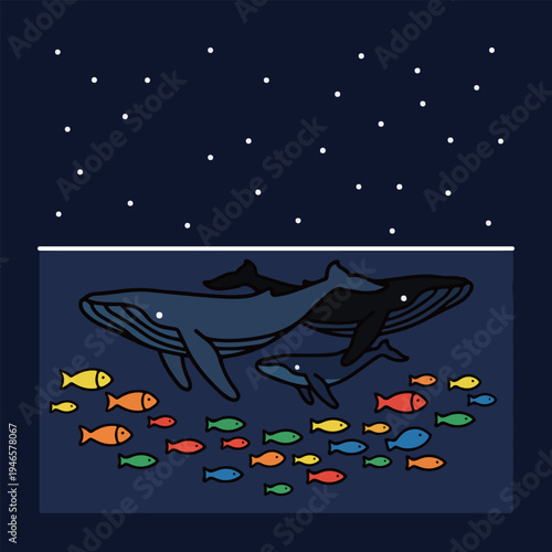 Whales and Fish Under the Stars