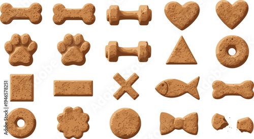 Dog biscuit treat collection with bone paw heart fish and cookie shapes pet snack vector illustration set