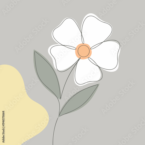 Minimalist White Flower Illustration