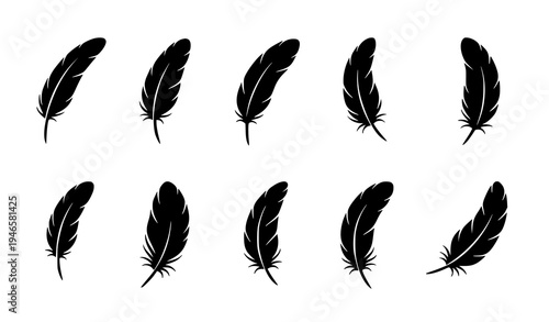 A set of black feather silhouettes on a white background