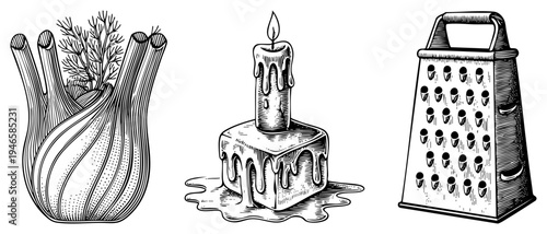 Hand drawn culinary tools and herbs, dill sprig, dripping candle on block, kitchen grater, engraved illustration, black and white vector.