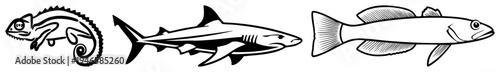 Chameleon, shark, and fish rendered in clean vector, isolated wildlife, graphic design elements, minimalist fauna illustrations.