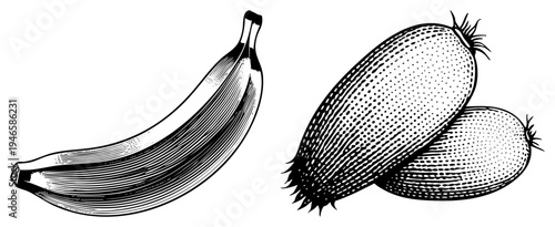 Vintage style vector sketch of banana and kiwi, dotted shading technique, fruit illustration, botanical art, isolated food graphic.