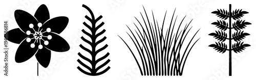 Vector botanical symbols stylized flower, feathered leaf, grass blades, fern fronds minimalist plant graphics for design, digital art, UI elements, and branding.