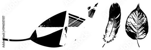 Stylized arrow with segmented fletching, feather with barbed quill, leaf with vein, vector art, graphic design elements.