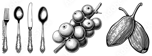 Vintage engraved cutlery collection with grapes and figs, classic black and white engraving, culinary illustration, food graphic design, vector art.