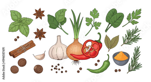 Spices and Fresh Vegetables Vector Set