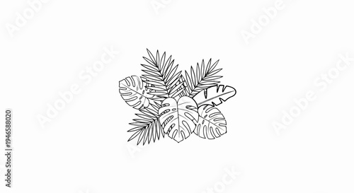 A minimalist line drawing of various tropical leaves on a white background