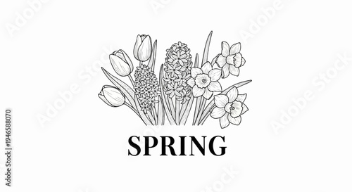 A monochromatic drawing of tulips, hyacinths, and daffodils with the word SPRING below