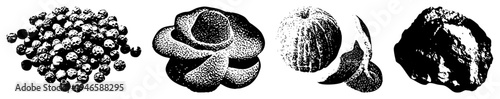 Halftone vector art of peppercorns, citrus peel, melon slice, and rough rock isolated food and mineral elements, detailed textures,, stylized botanical and geological subjects.