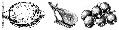 Black and white halftone drawings of citrus, cured meat, and berries, vintage engraving style, classic food illustration, dotted shading technique.