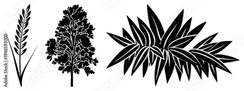 Stylized botanical featuring grass, tree, and leaf cluster minimalist vector art, nature motifs, graphic design elements, isolated plant forms.